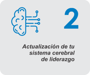 sistema cerebral 2