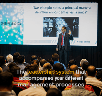leadership system 1
