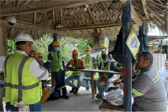 prominerales-2